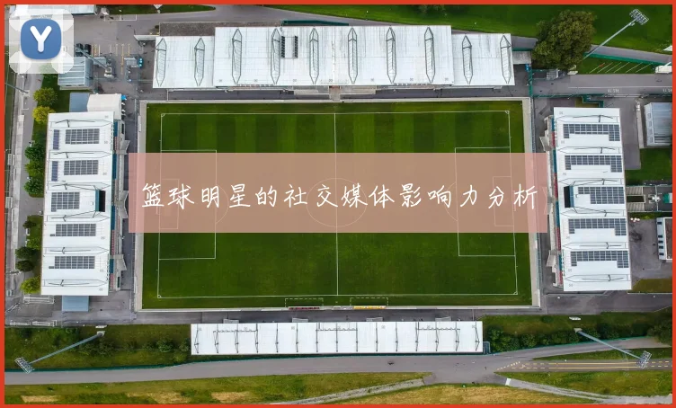 篮球明星的社交媒体影响力分析