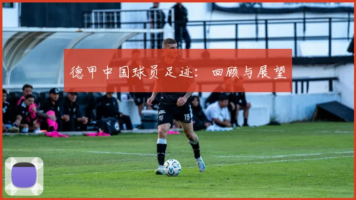 德甲中国球员足迹：回顾与展望