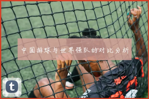 中国排球与世界强队的对比分析